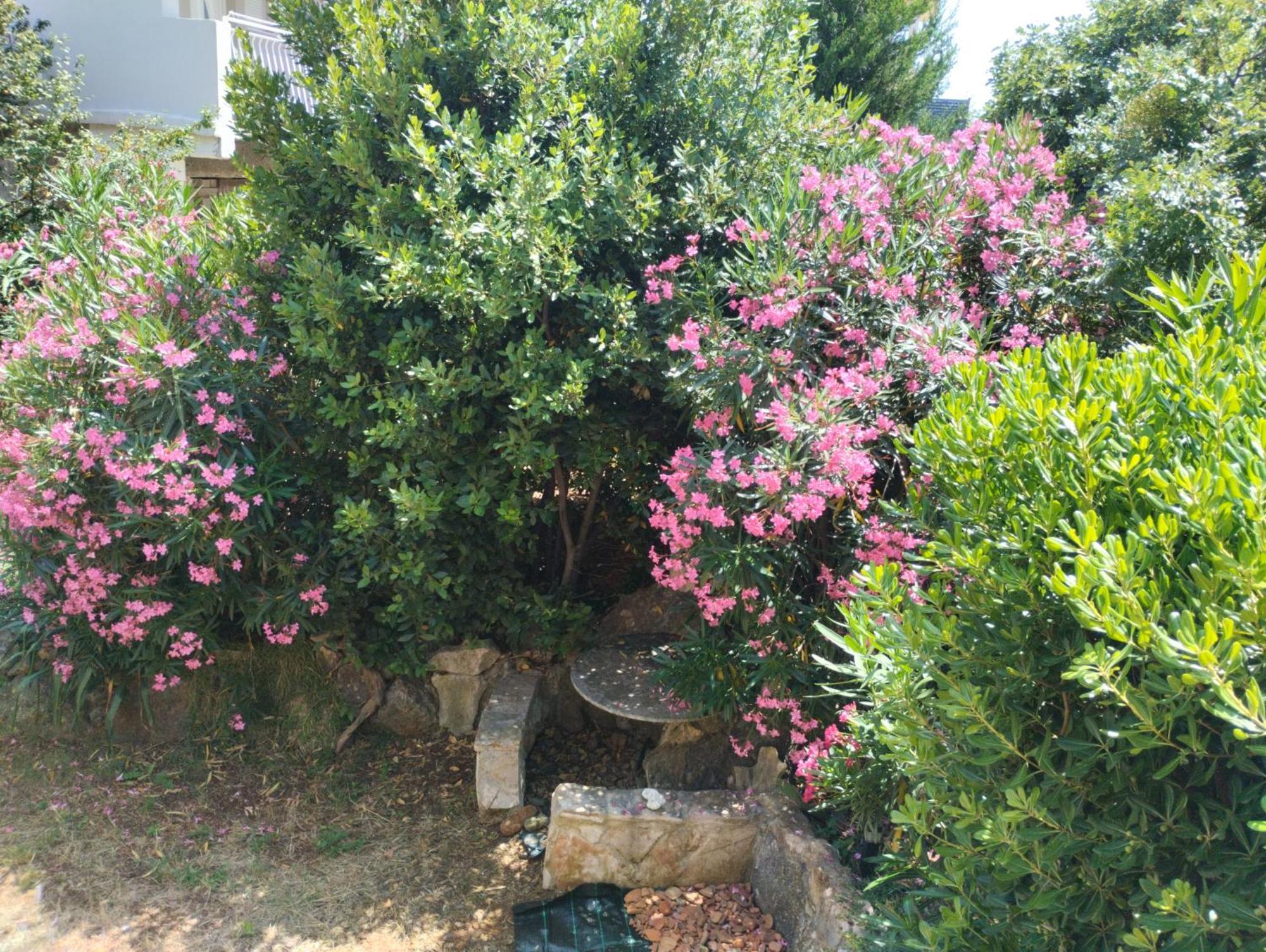 Miran Ivanica Exterior foto